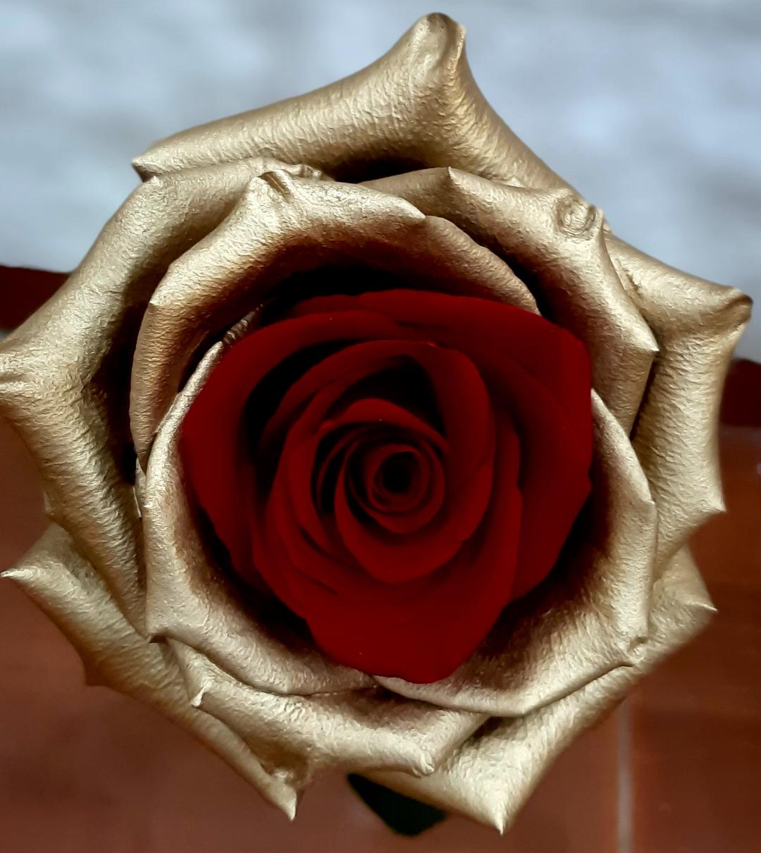 Envio y venta de flores ,rosas, plantas,arreglos florales ,regalos y desayunos a domicilio con delivery gratis en la Ciudad Autonoma de Buenos Aires y con costo de env�o en localidades del Gran Buenos Aires asi como delivery de flores y plantas a trav�s de florerias asociadas en todas las provincias de la Argentina, Buenos Aires, la Pampa, Tucuman, La Rioja, R�o Negro, Entre Rios, Corrientes, Misiones, Neuquen, Chubut, Tierra del Fuego, Santa Cruz, San Luis, Mendoza, Cordoba, Jujuy, Formosa, Santiago del Estero, Salta, Chaco, Catamarca ,San Juan, y ademas realizamos el delivery de flores ,coronas,palmas , plantas y regalos a todas las ciudades de Argentina, Mar del Plata, C�rdoba, Buenos Aires, con cargo en Santa Rosa, La Plata, Bella Vista, Neuquen, Pilar, Paran�, Posadas, Resistencia, Cipolleti y mas de 300 ciudades y localidades en todo el territorio de nuestro pa�s, asi como tambien tenemos la posibilidad de enviar flores a casi todo el mundo en cuestion de horas